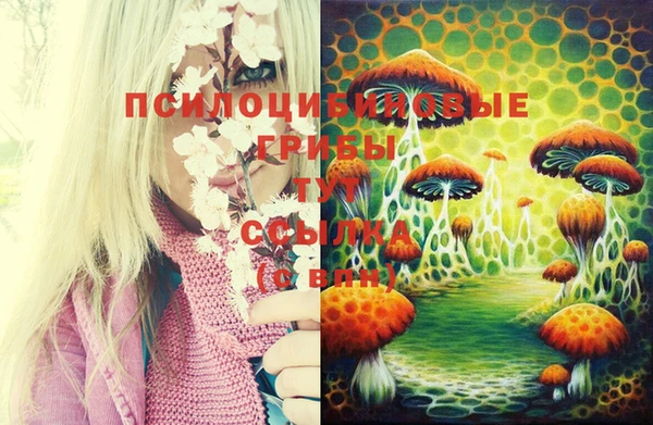 дистиллят марихуана Новодвинск