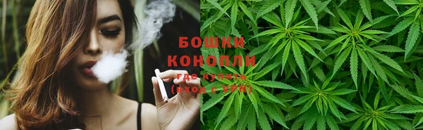 mdpv Новозыбков
